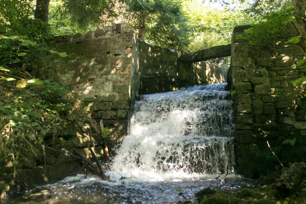 Haus Am Wasserfall Детмолд Екстериор снимка